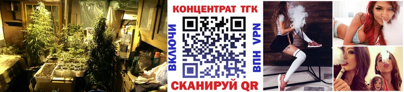 Дистиллят ТГК THC oil  Шенкурск 